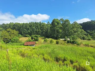 Paisagem de campo com vegetação densa e uma pequena estrutura no meio.