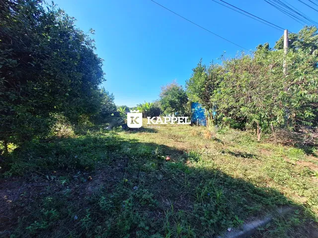 Terreno, foto 4