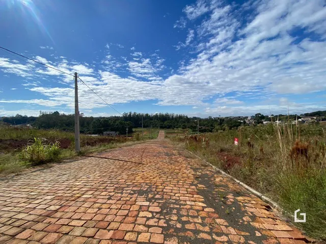 Terreno, foto 3