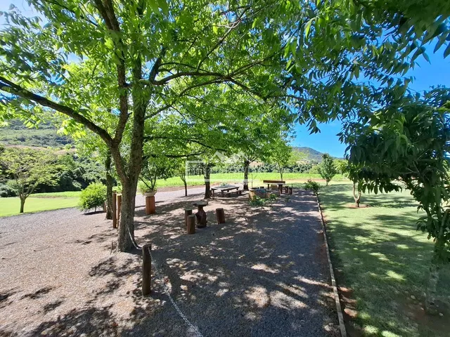 Área rural com 3 dormitórios, foto 4
