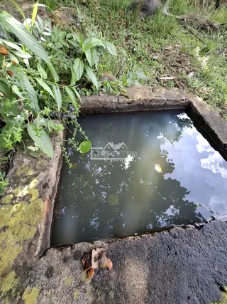 Área rural, foto 10