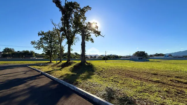 Terreno, foto 2