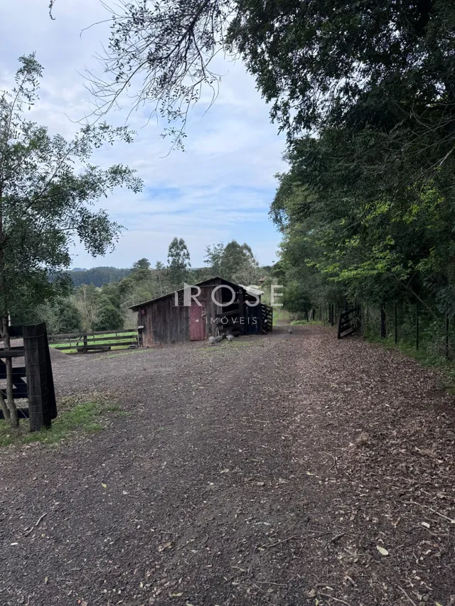 Área rural com 1 dormitório, foto 5