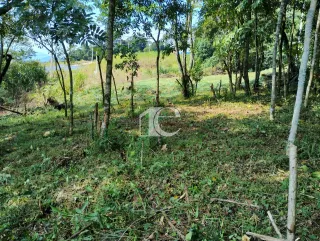 Terreno, foto 4