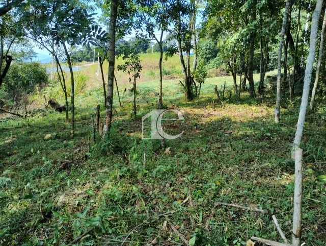 Terreno, foto 4