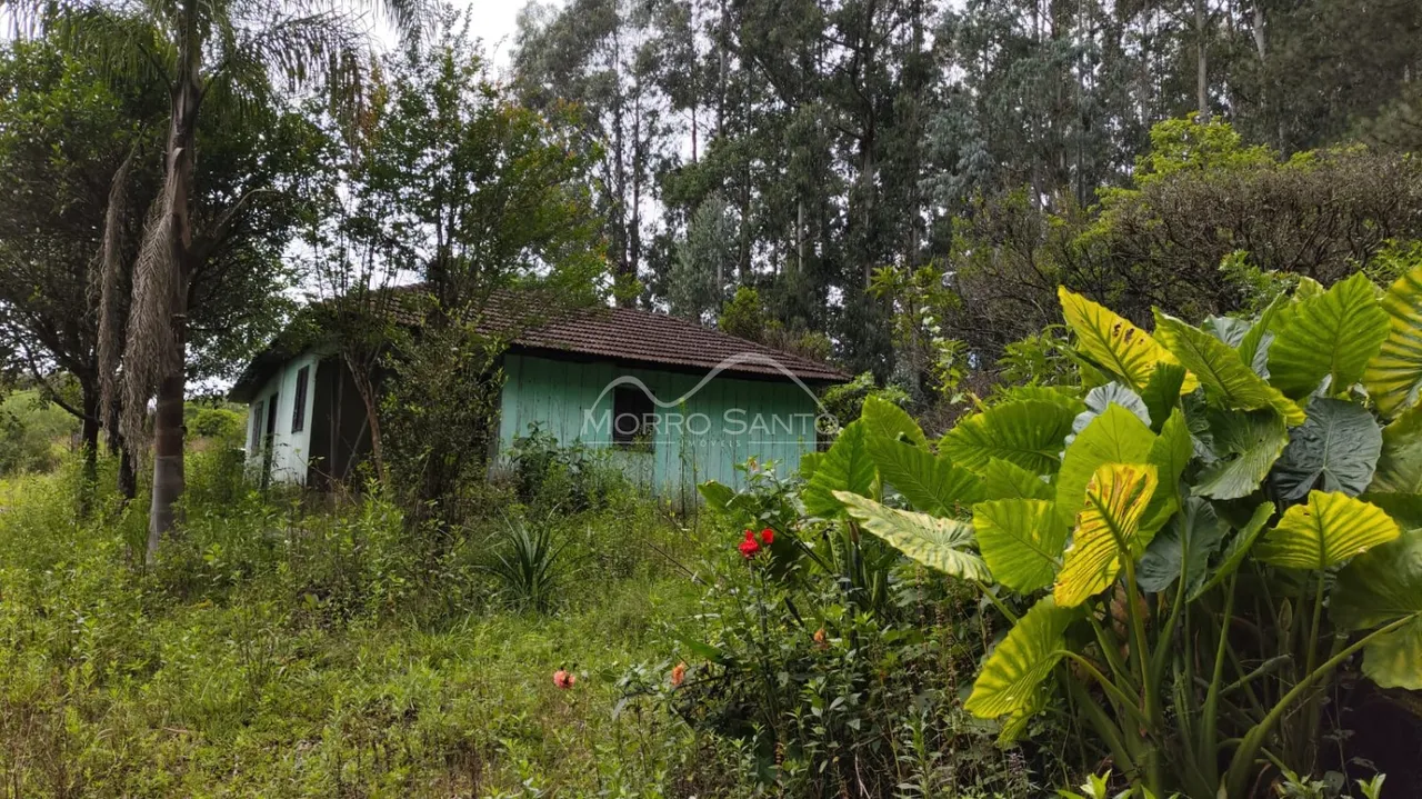 Área rural, foto 1