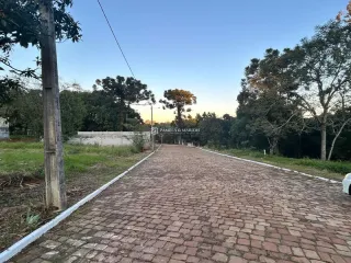 Terreno, foto 3