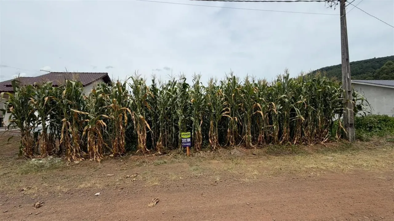 Terreno, foto 1