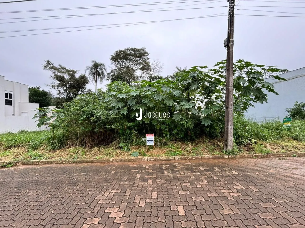 A foto mostra a fachada de uma propriedade com vegetação densa ao lado de uma cerca.