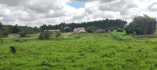 Área rural, foto 5