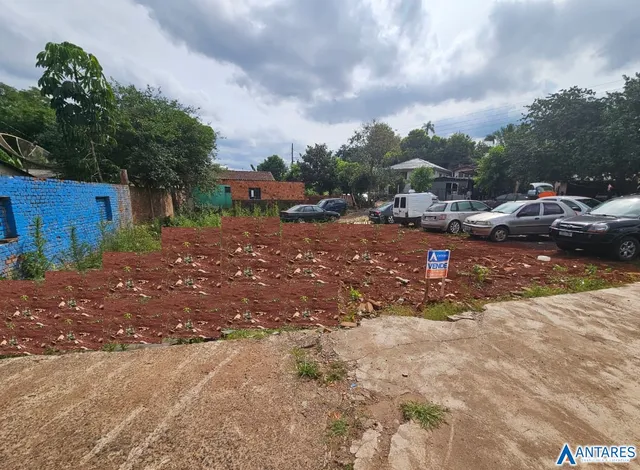 Área externa de terreno com vegetação e terra exposta.