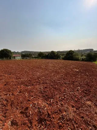 Terreno, foto 8