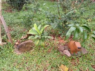 Casa com 2 dormitórios, foto 32