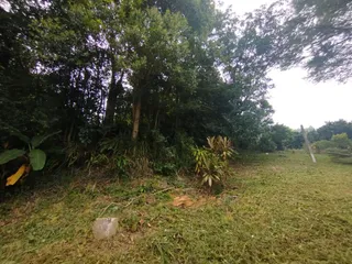 Casa com 4 dormitórios, foto 13