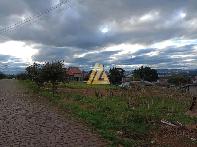 Terreno, foto 3