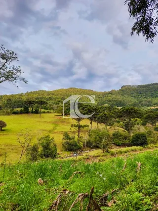 Área rural, foto 18