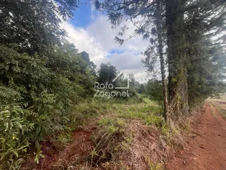 Terreno, foto 21
