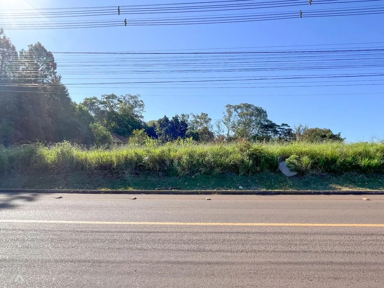 Terreno, foto 1
