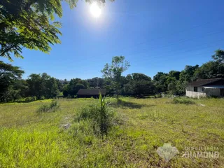 Área rural com 3 dormitórios, foto 10