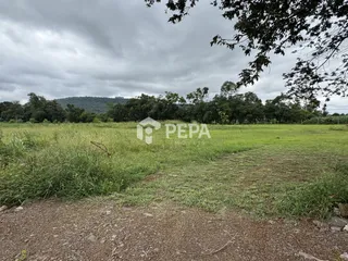 Terreno, foto 3