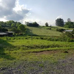Terreno, foto 3