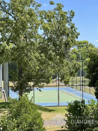 Terreno, foto 26
