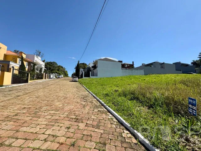 Terreno, foto 2