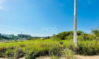 Vista de uma área verde com vegetação densa e um poste alto sob um céu azul.