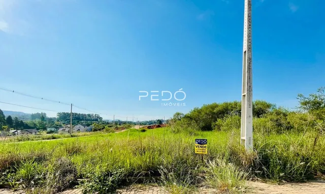 Terreno, foto 3