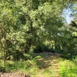 Área rural, foto 18