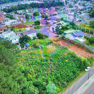 Terreno, foto 1