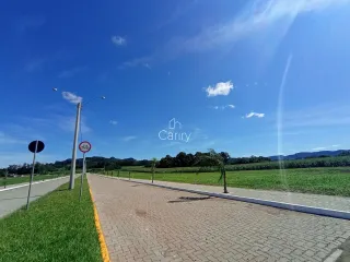 Terreno, foto 2