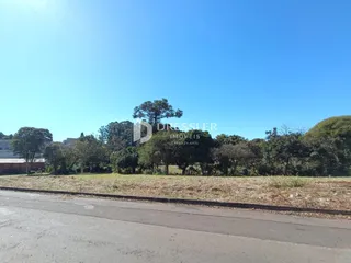 Vista externa da propriedade com vegetação e estrada no primeiro plano.