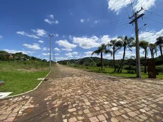 Vista da rua pavimentada com grama e palmeiras sob um céu azul.
