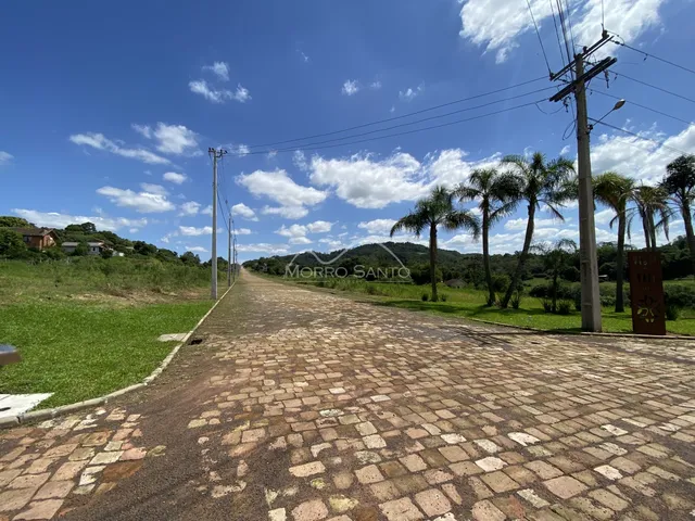 Vista da rua pavimentada com grama e palmeiras sob um céu azul.