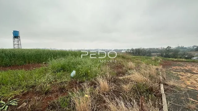 Terreno, foto 4