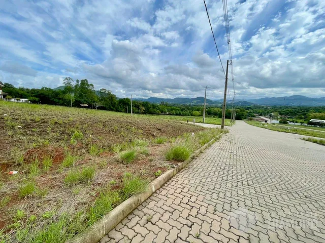 Terreno, foto 3
