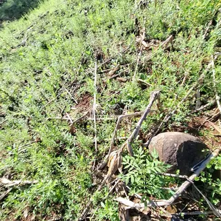 Área rural, foto 17