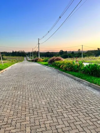 Terreno, foto 3