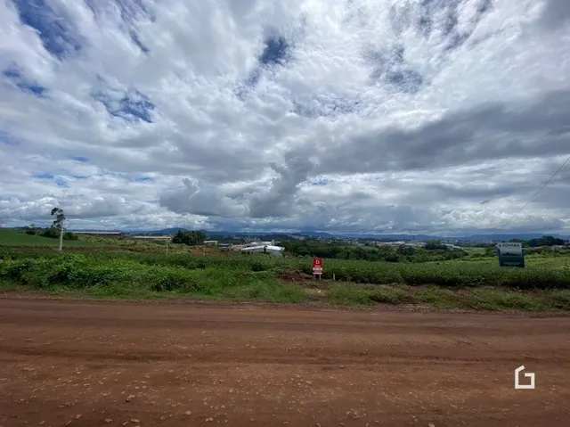 Vista de uma estrada de terra cercada por vegetação verde no campo.