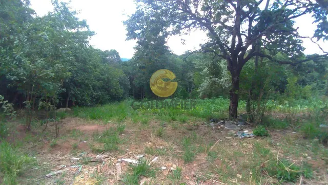 Terreno, foto 2