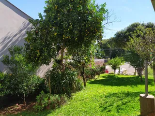 Vista do jardim com gramado verde e árvores em uma propriedade.