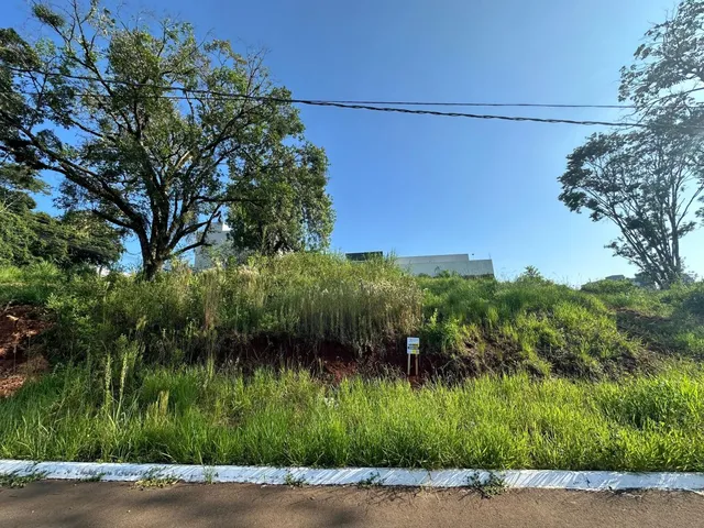 Terreno
