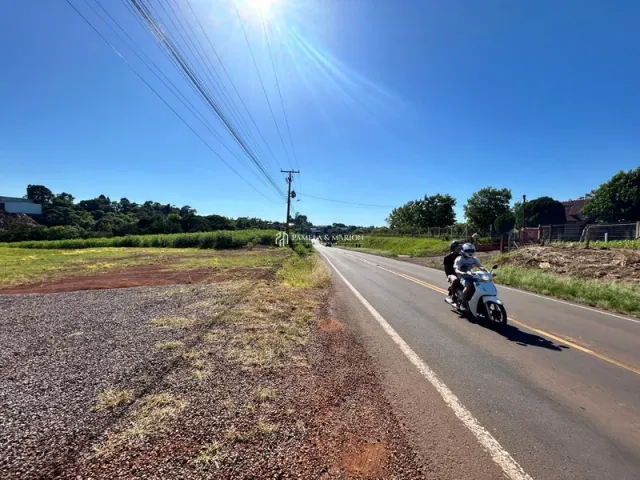 Estrada asfaltada com vegetação ao fundo sob céu azul.