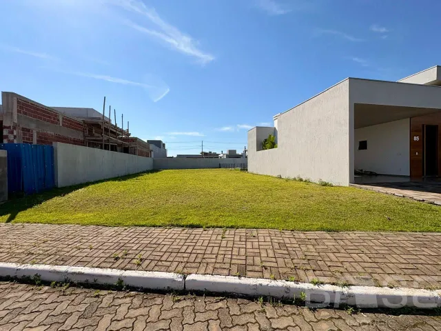 Terreno, foto 2