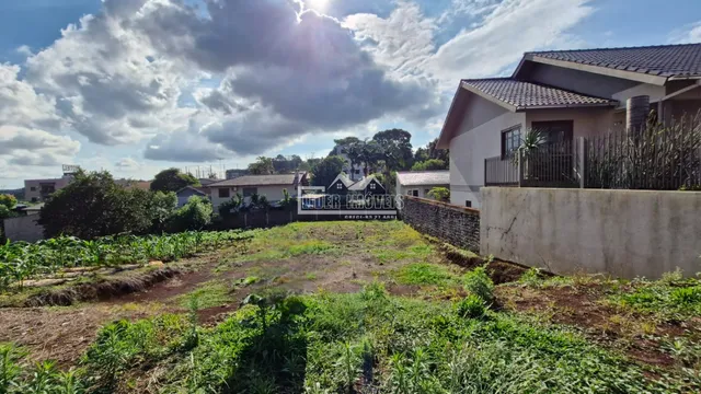 Terreno, foto 2