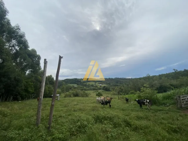 Área rural, foto 4