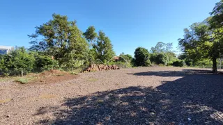 Foto de um terreno aberto com solo de terra e vegetação.