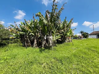Área rural com 2 dormitórios, foto 5