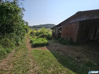Área rural com 3 dormitórios, foto 6